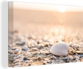 Canvas - Canvasschilderijen - Schelpen - Strand - Zon - Kamer decoratie - Canvasdoek - Foto op canvas - 180x120 cm - Woonkamer