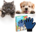 Un chat gris et un chiot, avec un gant bleu anti-poils d'animaux.