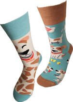 Verjaardag cadeau - Hond sokken - vrolijke sokken - valentijn cadeau - aparte sokken - grappige sokken - leuke dames en heren sokken - moederdag - vaderdag - Socks waar je Happy van wordt - Maat 42-47
