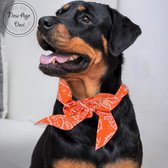 New Age Devi - Honden bandana -Stijlvolle hond - Tegen kou en hete zon in de nek - Oranje