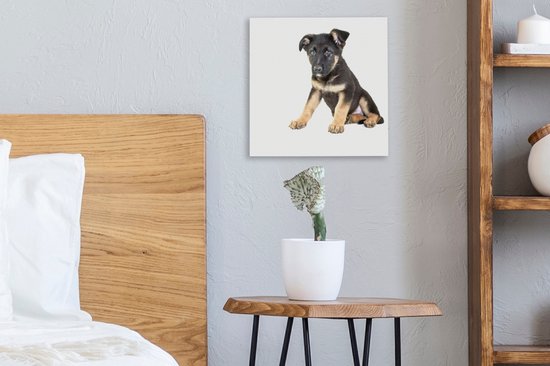 Assis sur toile de chiot berger allemand 2cm 20x20 cm - petit - Tirage photo sur toile (Décoration murale salon / chambre) / Peintures sur toile pour Animaux domestiques