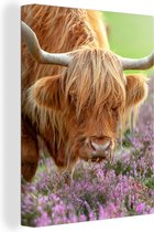 Tableau sur toile Scottish Highlander - Violet - Fleurs - 60x80 cm - Décoration murale