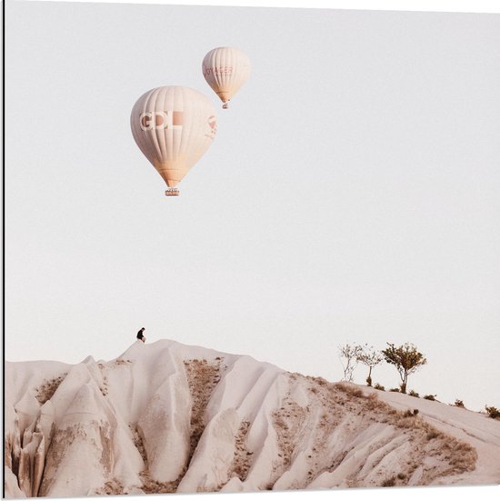 WallClassics - Dibond - Twee Beige Luchtballonnen boven Beige Landschap - 80x80 cm Foto op Aluminium (Met Ophangsysteem)