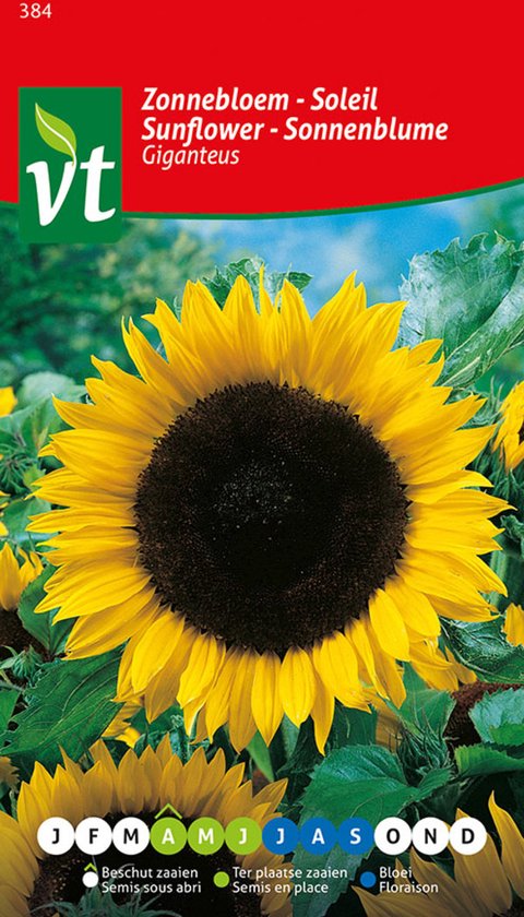 L'essentiel des fleurs : 1000 couleurs pour votre jardin - 5 sachets de graines