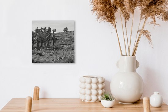 Peintures sur toile - Paysage rocheux avec cactus en Equateur - noir et blanc - 20x20 cm - Décoration murale