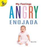 My Feelings - Angry