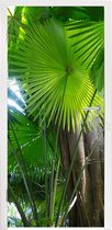 Deursticker Tropisch regenwoud - 90x215 cm - Deurposter