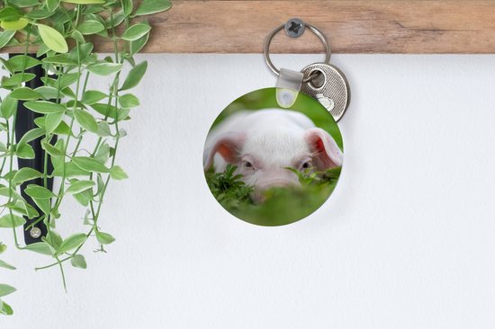 Porte-clés - Cochon - Animaux - Porcinet - Plastique - Rond - Distribution cadeaux