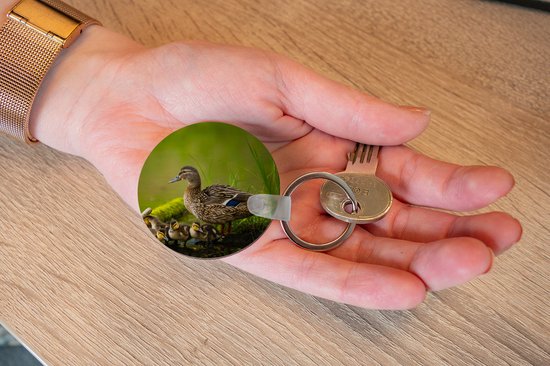 Porte-clés - Canard - Vogels - Water - Branche - Mousse - Plastique - Rond - Cadeaux à distribuer