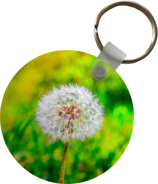Tuinposters buiten Paardenbloem met een paar zaadjes - 90x60 cm
