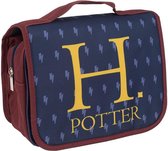 Sac de voyage Harry Potter Multicolore (25 x 20 x 0 cm)