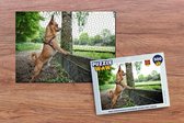 Puzzel Een Chihuahua kijkend over het gras - Legpuzzel - Puzzel 500 stukjes