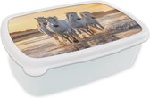 Boîte à pain Wit - Boîte à lunch - Boîte à pain - Paarden - Water - Mer - France - 18x12x6 cm - Adultes