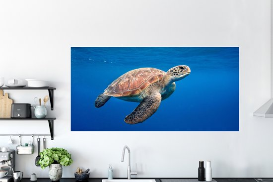 Stickers muraux - Film autocollant - Tortue dans l'océan - 160x80 cm - Film adhésif - Stickers muraux chambre enfant - Papier peint autocollant - Papier peint autocollant - Film autocollant