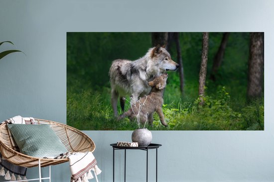 Stickers muraux - Film autocollant - Loup - Bébé - Forêt - 120x60 cm - Film adhésif - Stickers muraux Chambre d'enfant - Papier peint autocollant