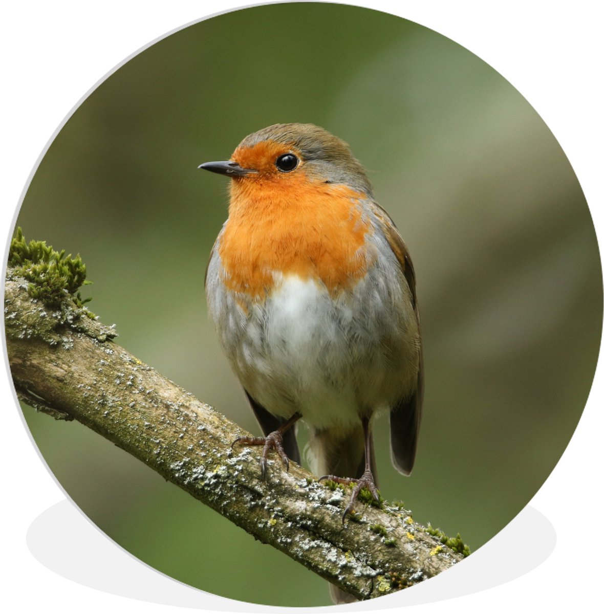 Wandcirkel Hout Kubistika - Vliegende Vogels Wandcirkel Hout Kubistika - Vliegende Vogels