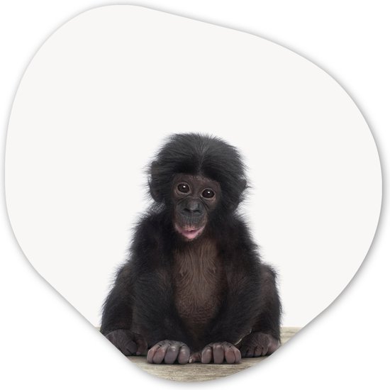 Organische Wanddecoratie - Kunststof Muurdecoratie- Organisch Schilderij - Kind - Aap - Chimpansee - Baby dieren - Jongens - Meiden- 40x40 cm - Asymmetrische spiegel vorm op kunststof