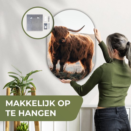 Ovale mural - Ovale mural - Décoration murale murale en plastique - Tableau ovale - Highlander écossais - Animaux - Rural - Paysage - Vache - Nature - 60x90 cm - Forme miroir ovale sur plastique