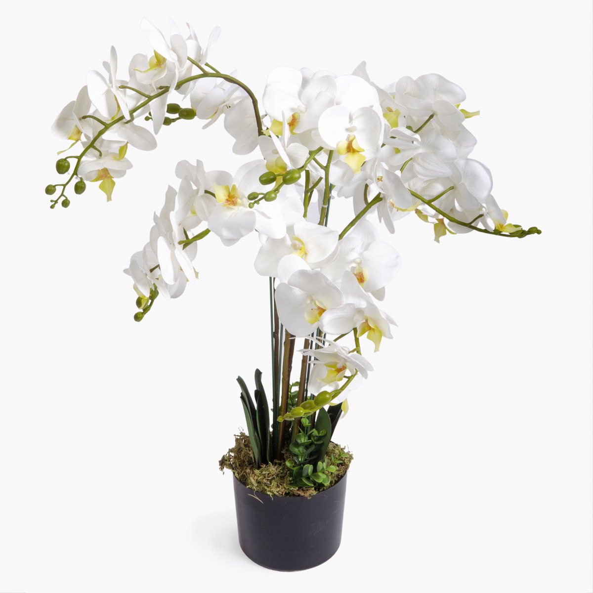 orchidee - 75 plant wit - Levensechte bol met pot Kunstbloemen | kunstplant - cm - orchidee