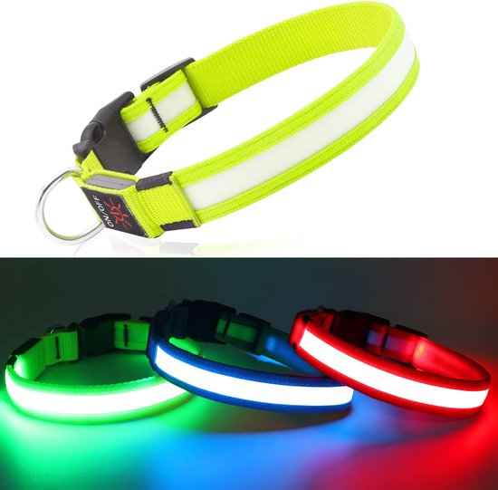 KOSKILL Lichtgevende hondenhalsband 's nachts, led
