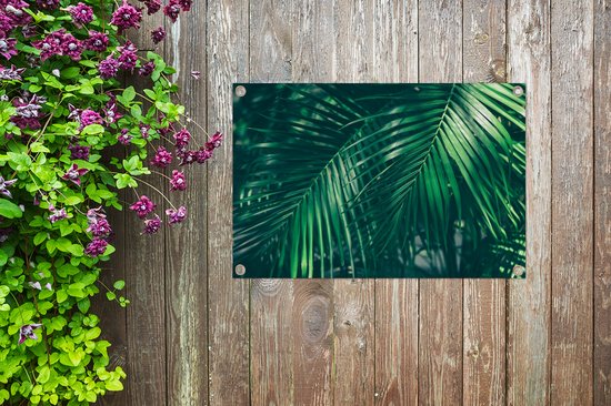 Décoration de jardin Feuilles de palmier - Macro - Vert - 60x40 cm - Poster jardin