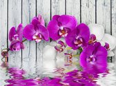 Fotobehang - Violet orchids with water reflexion.