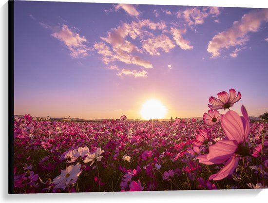 WallClassics - Canvas  - Veld Roze Bloemen met Paarse Lucht - 100x75 cm Foto op Canvas Schilderij (Wanddecoratie op Canvas)