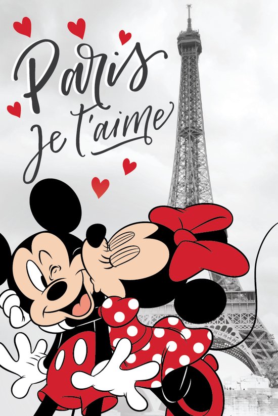 Disney Minnie Mouse Fleece deken Paris - 100 x 150 cm - Grijs