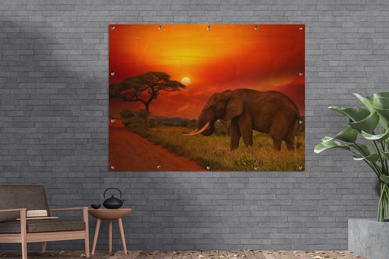 Poster de jardin Éléphant - Coucher de soleil - Oranje - Savane - Animaux - 170x120 cm - Décoration murale Extérieur - Poster de jardin - Toile de jardin - Poster de clôture - Tableau de jardin