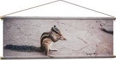 WallClassics - Textielposter - Etende Eekhoorn - 120x40 cm Foto op Textiel