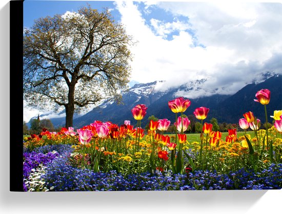 WallClassics - Canvas  - Felgekleurde Bloemen in het Veld met Berg en Boom - 40x30 cm Foto op Canvas Schilderij (Wanddecoratie op Canvas)