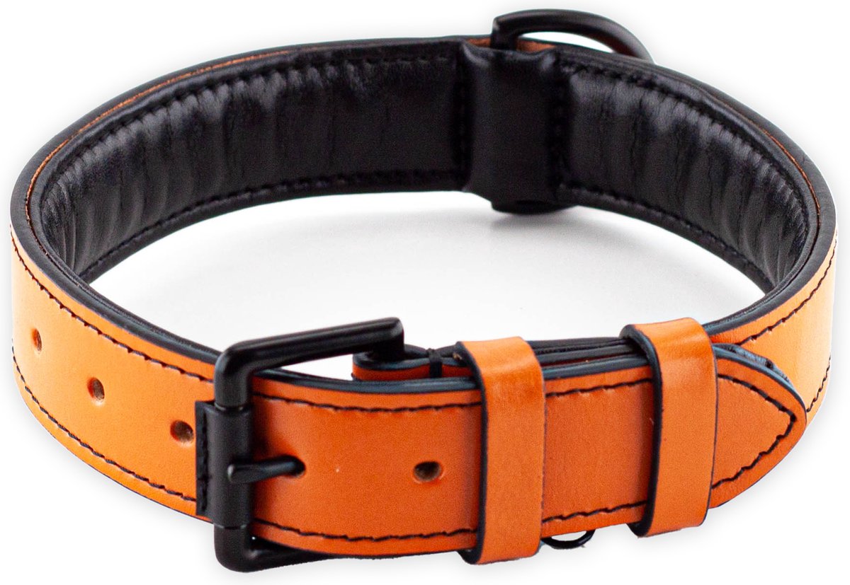 Brute Strength - Luxe leren halsband hond - Oranje - L - (46 - 53 cm) x 3,5cm - Brute Strength