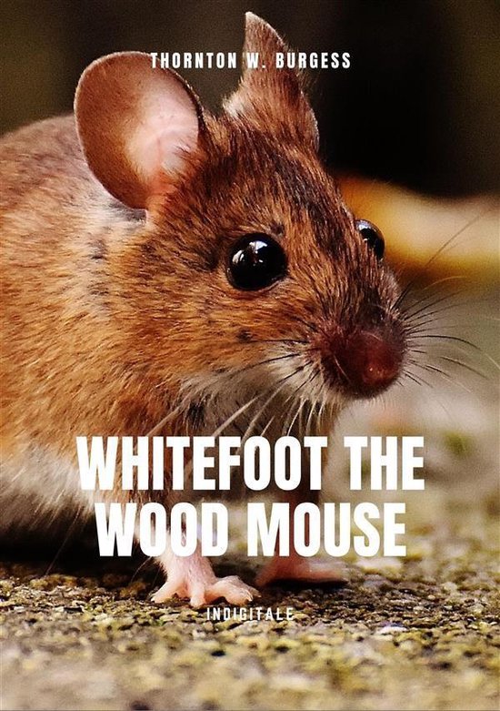 Whitefoot the wood mouse - cover