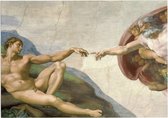 Schepping van Adam, Michelangelo Buonarroti - Foto op Forex - 70 x 50 cm (B2)