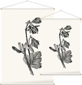 Akelei zwart-wit (Columbine) - Foto op Textielposter - 40 x 60 cm
