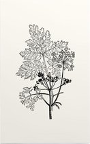 Gevlekte Scheerling zwart-wit (Hemlock) - Foto op Forex - 80 x 120 cm