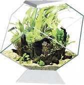 Ciano Aquarium nexus 14c Blanc 35,4x41,8x36,8cm