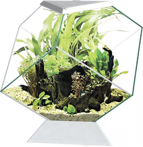Epuisette aquarium blanche : 8 cm