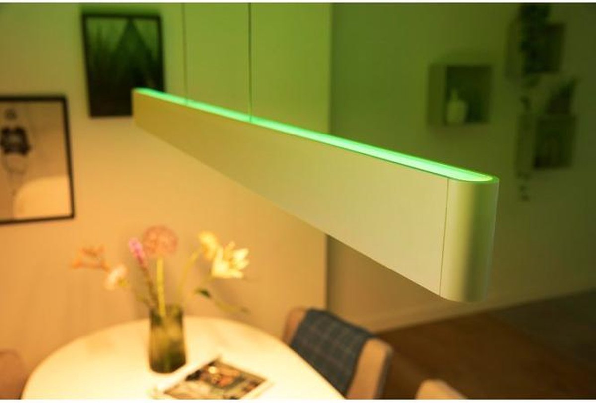 Isoleren Nacht leerplan Philips Hue Ensis hanglamp - White and Color Ambiance | bol.com