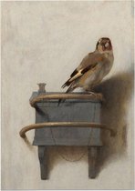 Het puttertje, Carel Fabritius - Foto op Posterpapier - 50 x 70 cm (B2)