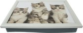 Mars & More Schoottafel - katten/poezen print - 43 x 32 cm - laptray