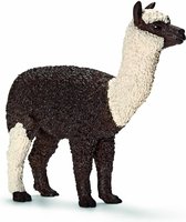 Vrouwelijke Alpaca