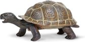 Safari Speeldier Galapagos Baby-schildpad 14 Cm Bruin