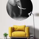 Behangcirkel - Olifant 155 cm