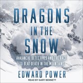 Boekomslag: Dragons in the Snow - Avalanche detectives en de race om de dood in de bergen te verslaan door Edward Power.
