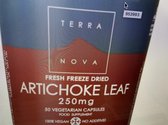 Terranova Artichoke leaf 250 mg Inhoud:	50 vcaps