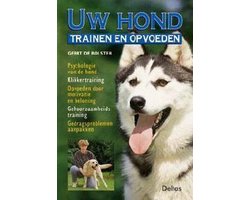 Uw Hond Trainen En Opvoeden
