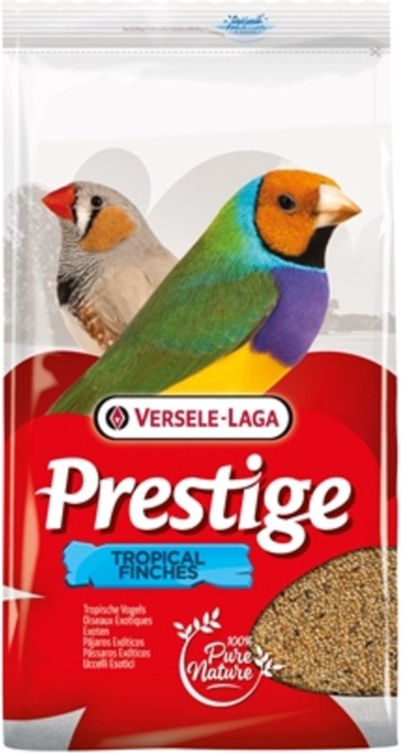 Prestige Tropische Vogel