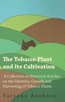 The Tobacco Plant and Its Cultivation - A Collection of Historical Articles on the Varieties, Growth and Harvesting of Tobacco Plants