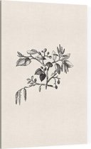 Els zwart-wit (Leaf of Alder) - Foto op Canvas - 100 x 150 cm